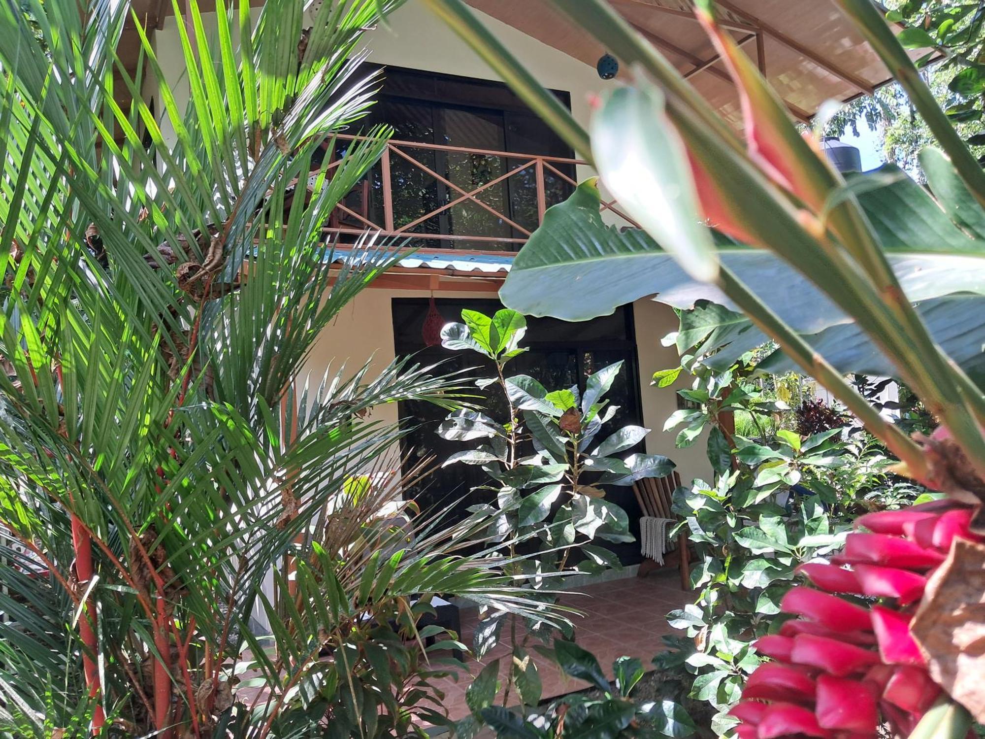 New Caribe Point Βίλα Cahuita Εξωτερικό φωτογραφία