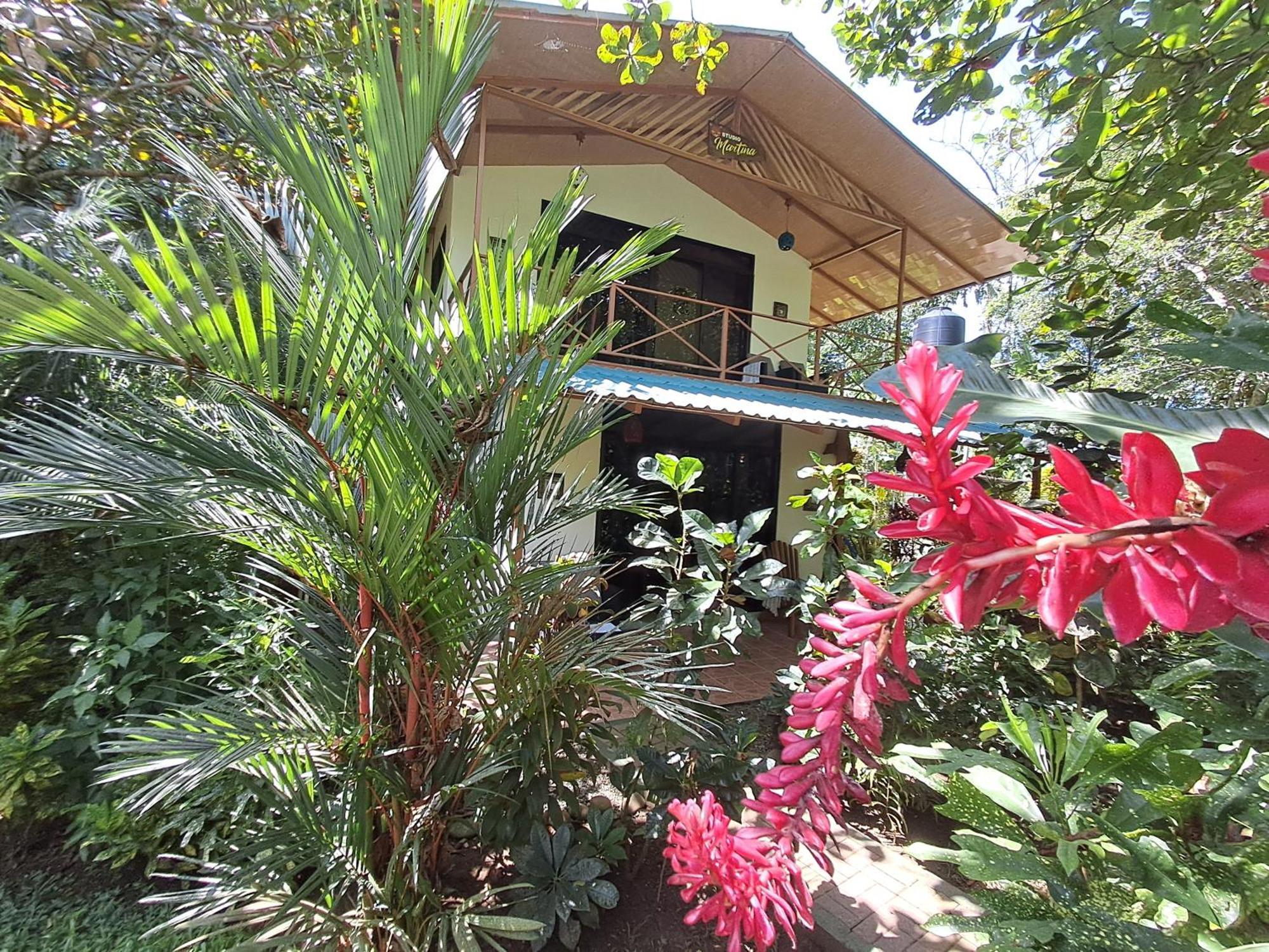 New Caribe Point Βίλα Cahuita Εξωτερικό φωτογραφία