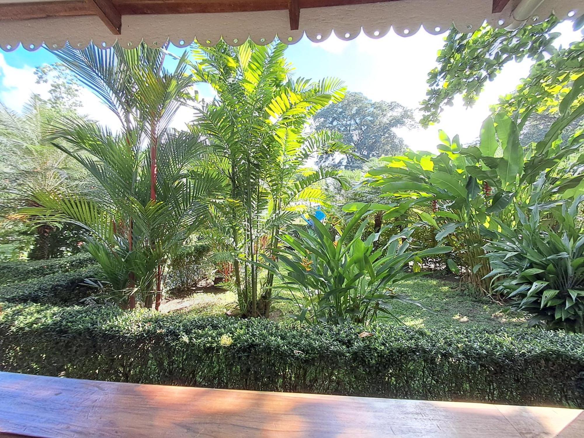 New Caribe Point Βίλα Cahuita Εξωτερικό φωτογραφία