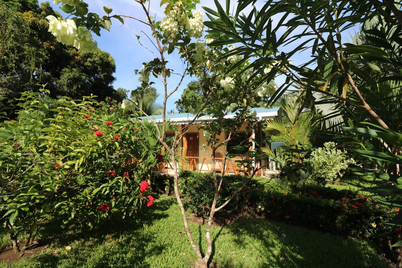 New Caribe Point Βίλα Cahuita Εξωτερικό φωτογραφία